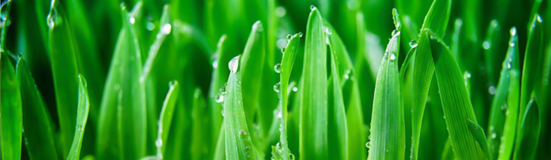 Xinghua Jiahe Foods Co., Ltd.